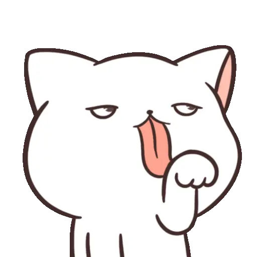 ✨ Gato funny ฅ⁠^⁠•⁠ﻌ⁠•⁠^⁠ฅ 18