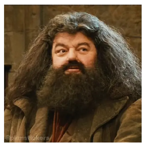 Harry Potter I 🧙🪄 22