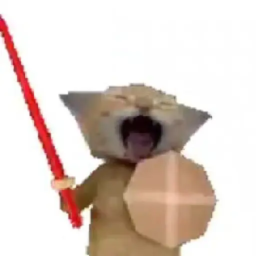 Cat woi 1