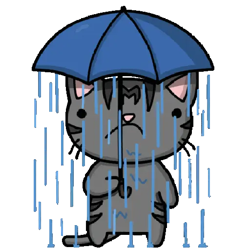 Memes Lluvia ⛈️ 12