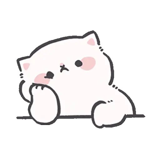 Gatito blanco 😸🤍 fluffy 🩷 18