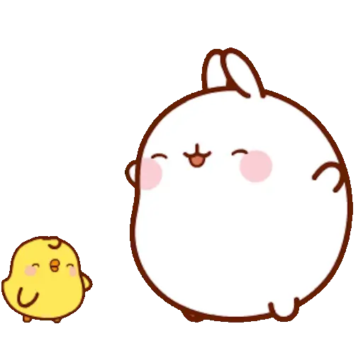 🐰 Conejo Molang Bunny🐰🥕 4