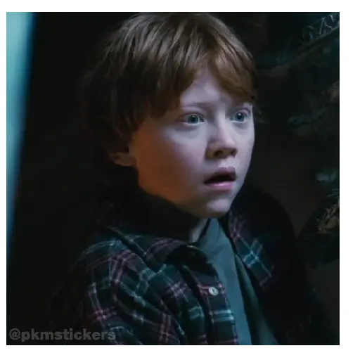 Harry Potter I 🧙🪄 20