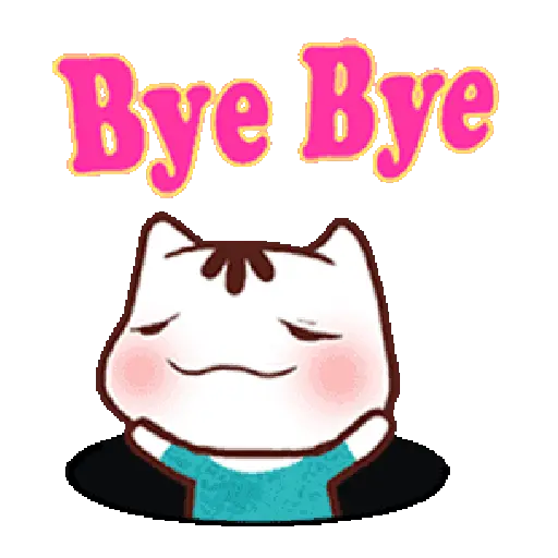 Bye bye 👋🏻👋🏻 Adiós 15