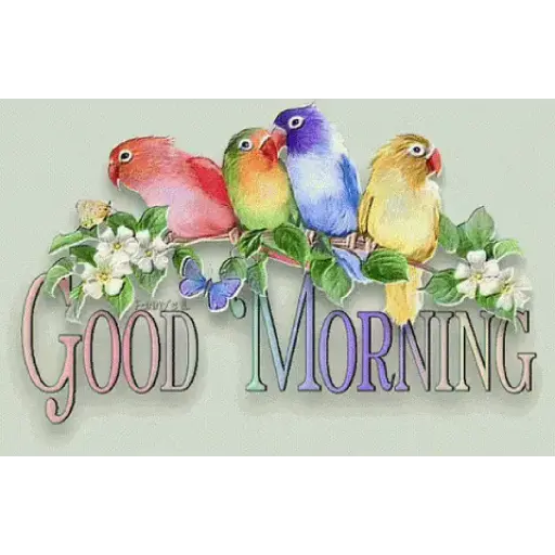 Good morning 13
