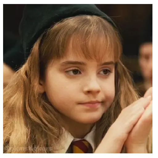 Harry Potter I 🧙🪄 21