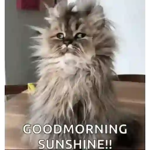 Good morning 10