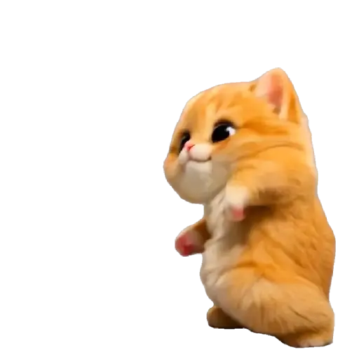 Gatito Bailando 💃🎶 5