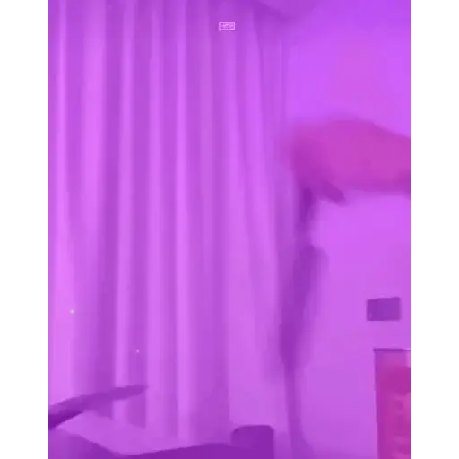BTS 2