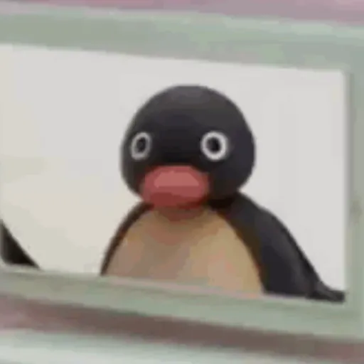 Pingu revoltado 15