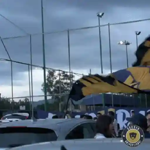 Pumas  4