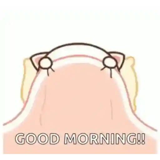 Good morning 9