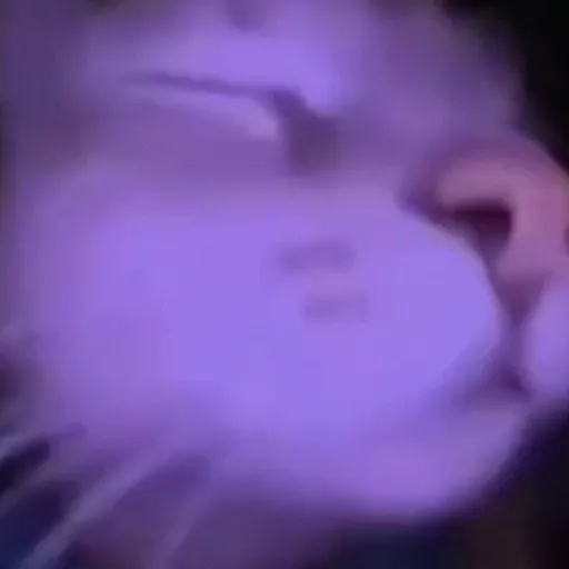 Memes pra mandar pros amigos 5