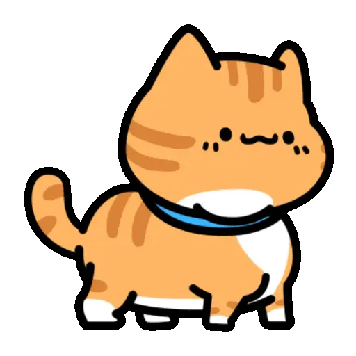 Gatos pa tu chat2📲🐈‍⬛🐈🐈‍⬛🐈 4