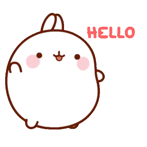 🐰 Conejo Molang Bunny🐰🥕 1
