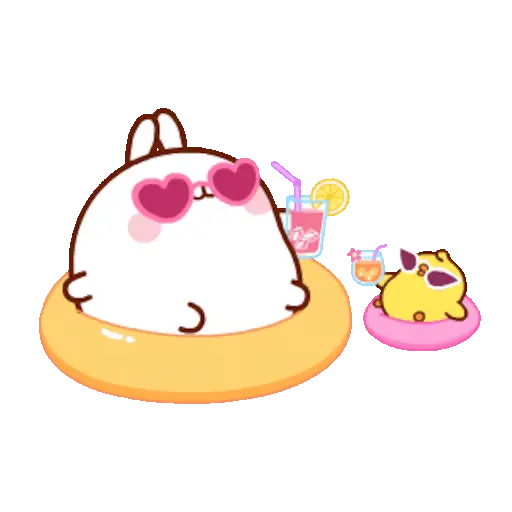 🐰 Conejo Molang Bunny🐰🥕 23