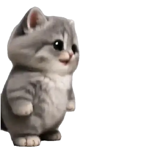 Gatito Bailando 💃🎶 7