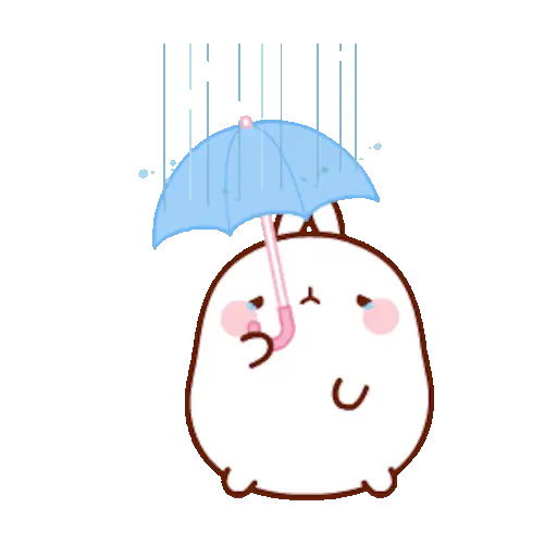 🐰 Conejo Molang Bunny🐰🥕 17