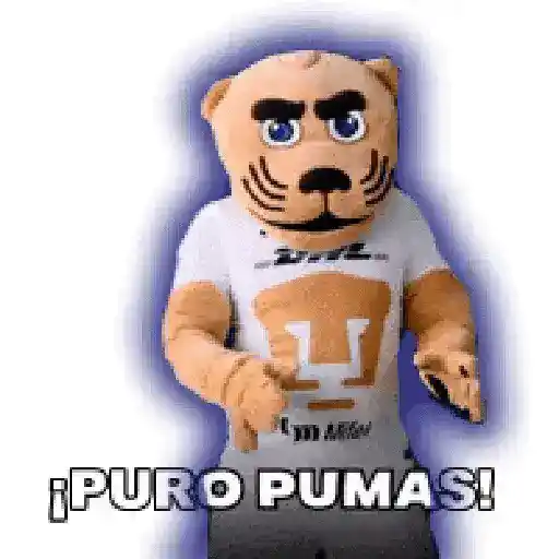 Pumas  13