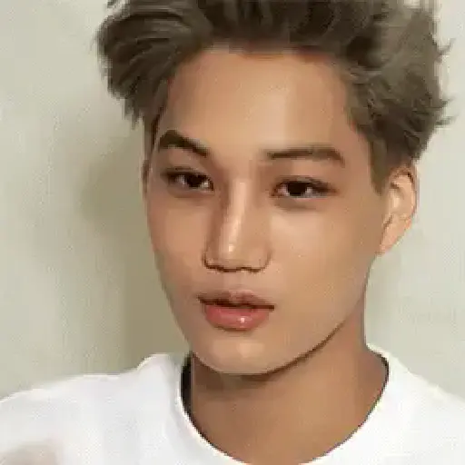 EXO Kai💘💞 14