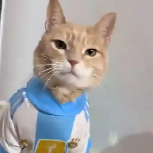 Argentina 🇦🇷Mundial2026 1