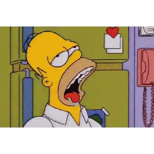 Los Simpson  15