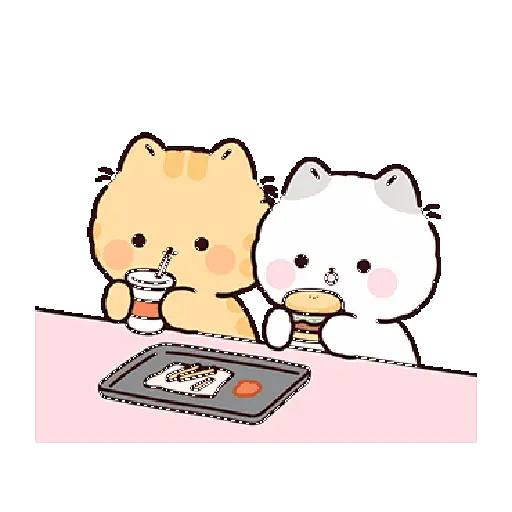 Gatos cute 😽 ฅ⁠^⁠•⁠ﻌ⁠•⁠^⁠ฅ 2