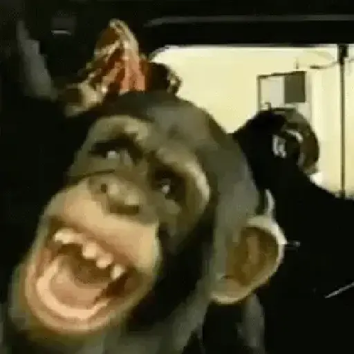 🐒 Monos Risas Meme 🙊🤣 XDXD 14