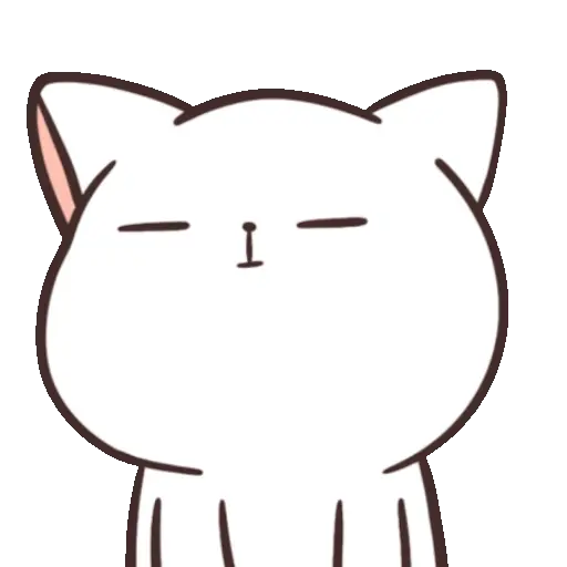 ✨ Gato funny ฅ⁠^⁠•⁠ﻌ⁠•⁠^⁠ฅ 4