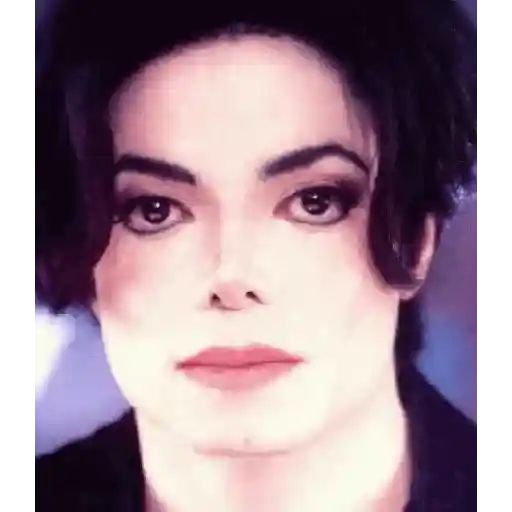 Michael Jackson 20