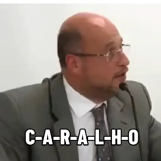 Animadas 6