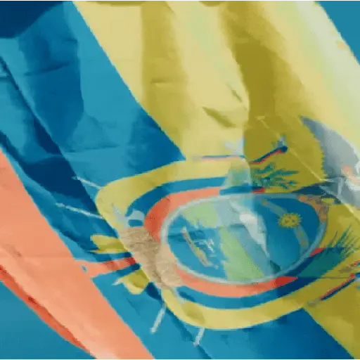 Ecuador | Eliminatorias 🇪🇨 15