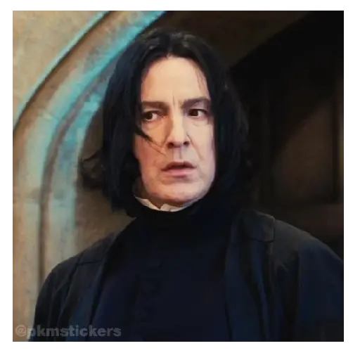 Harry Potter I 🧙🪄 16
