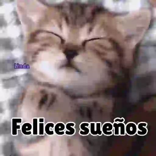 Axy Linda 26-13 13