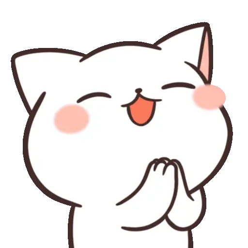 ✨ Gato funny ฅ⁠^⁠•⁠ﻌ⁠•⁠^⁠ฅ 16