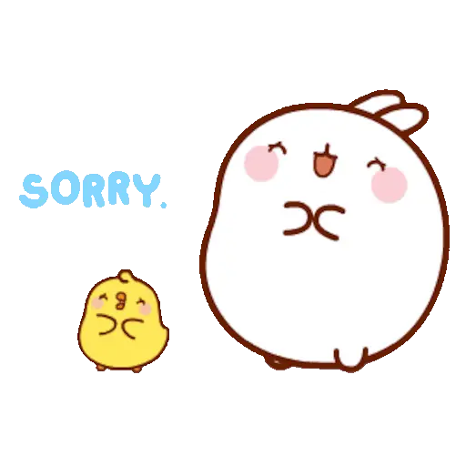 🐰 Conejo Molang Bunny🐰🥕 5