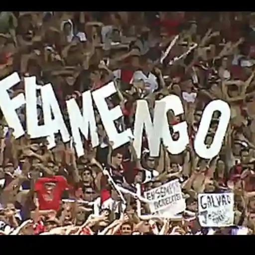 Flamengo 15