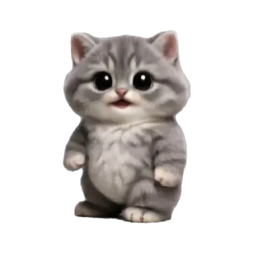 Gatito Bailando 💃🎶 8
