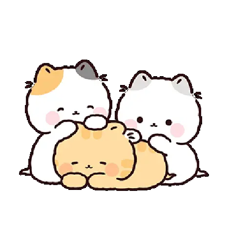 Gatos cute 😽 ฅ⁠^⁠•⁠ﻌ⁠•⁠^⁠ฅ 9