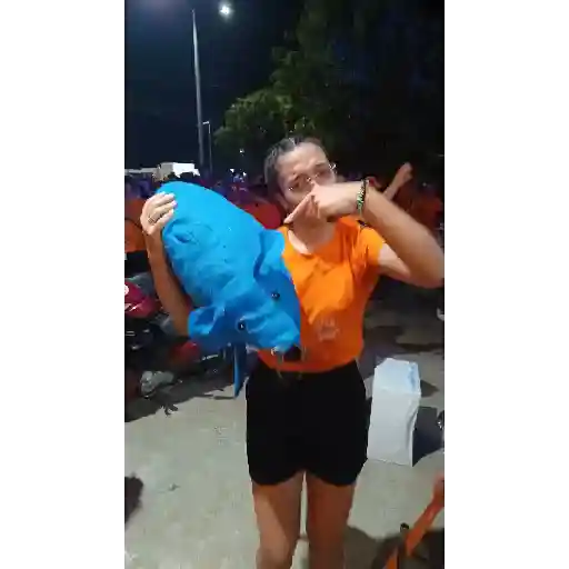 Aleatório  3