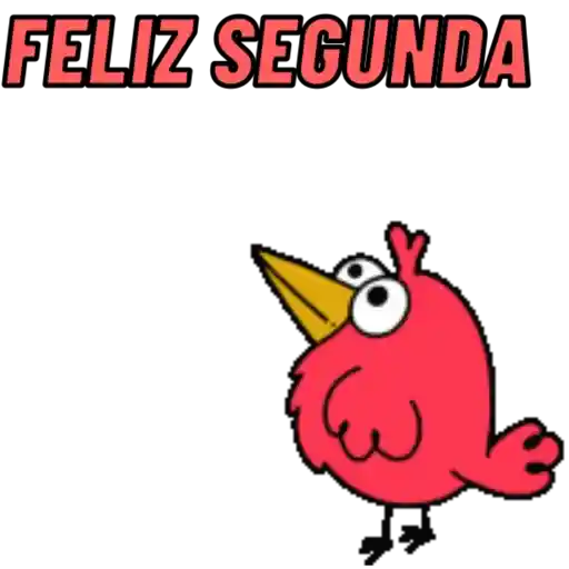 BOM DIA ☀️ 16