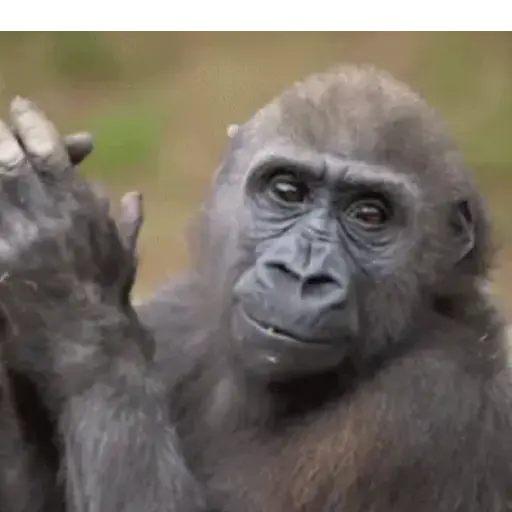 Trending gifs 5