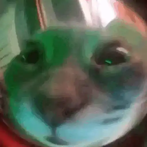 KILLERA ANIMATION 5