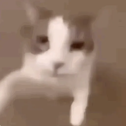 Memes pra mandar pros amigos 6