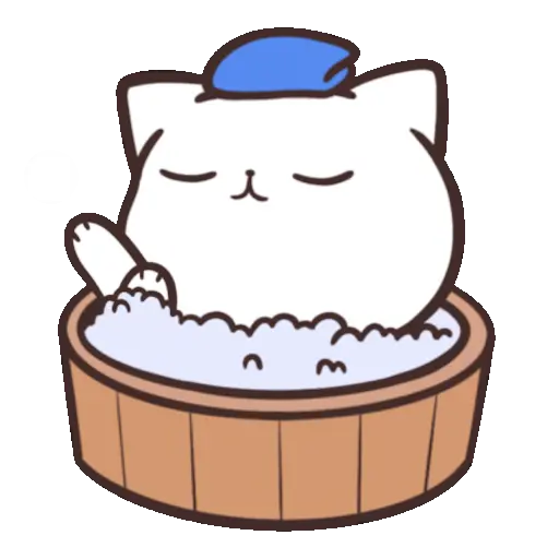 ✨ Gato funny ฅ⁠^⁠•⁠ﻌ⁠•⁠^⁠ฅ 14