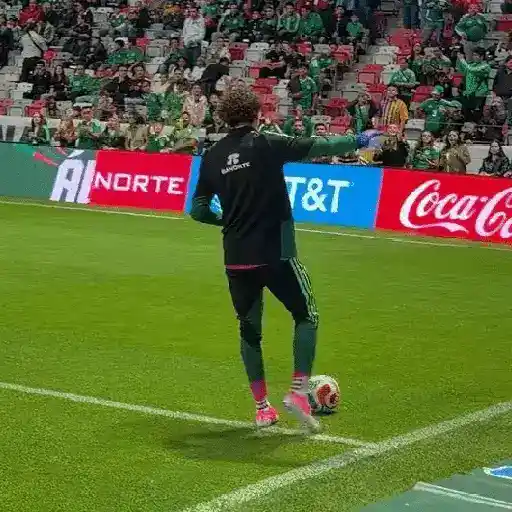 Selección de México 🇲🇽 8
