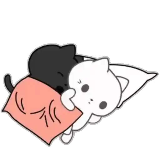 ❤️ Amor Parejitas de Gatos 😻❤️ 5