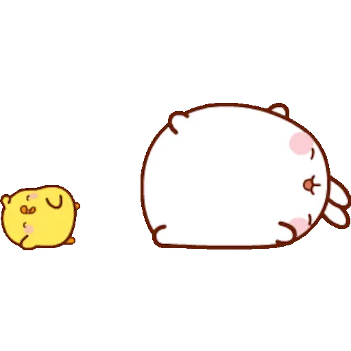 🐰 Conejo Molang Bunny🐰🥕 14