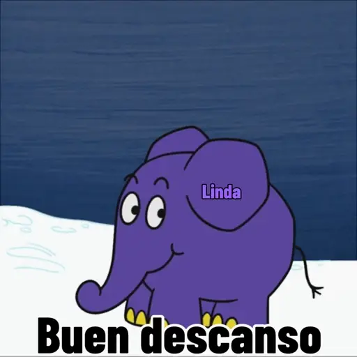 Axy Linda 26-13 16