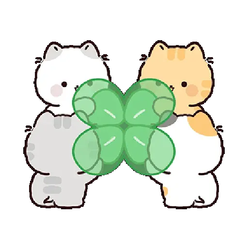 Gatos cute 😽 ฅ⁠^⁠•⁠ﻌ⁠•⁠^⁠ฅ 8